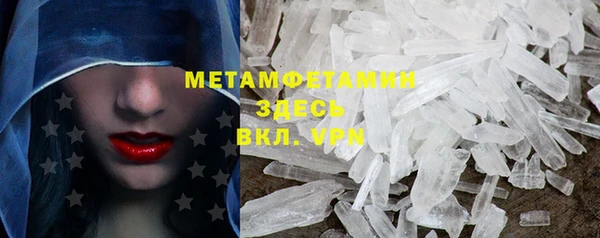 индика Нея