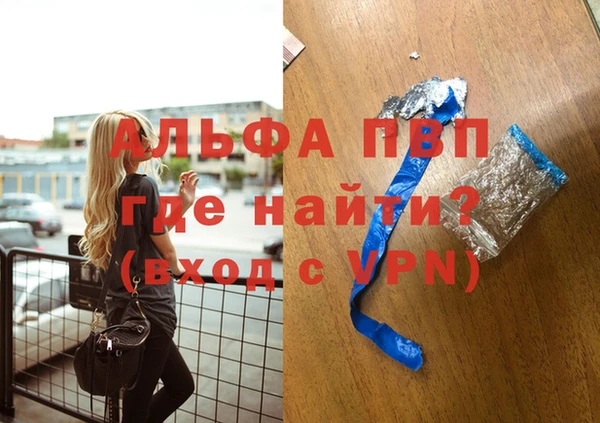 индика Нея