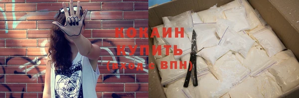 сатива Надым