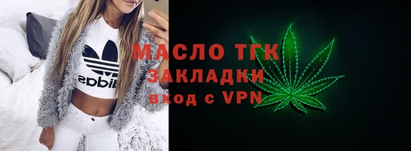 индика Нея