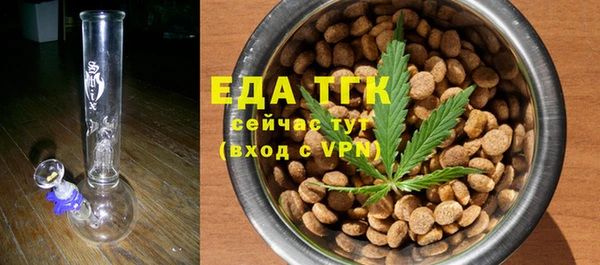 индика Нея