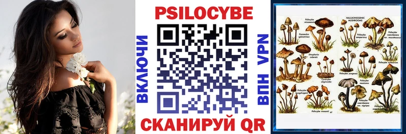 Псилоцибиновые грибы Psilocybine cubensis  Орск 