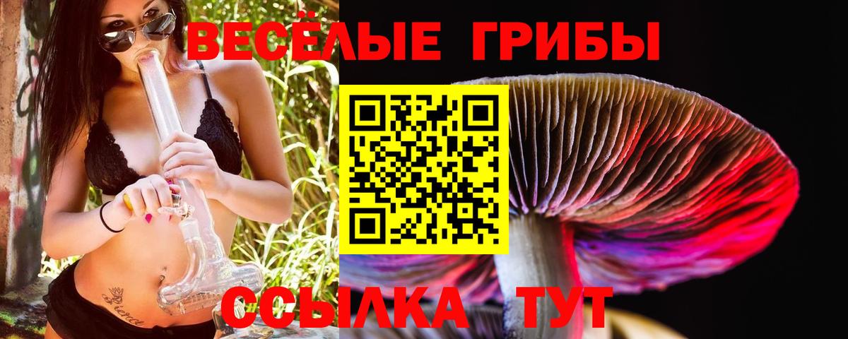 Псилоцибиновые грибы ЛСД  Псилоцибиновые грибы Magic Shrooms  Вход с VPN  Орск 
